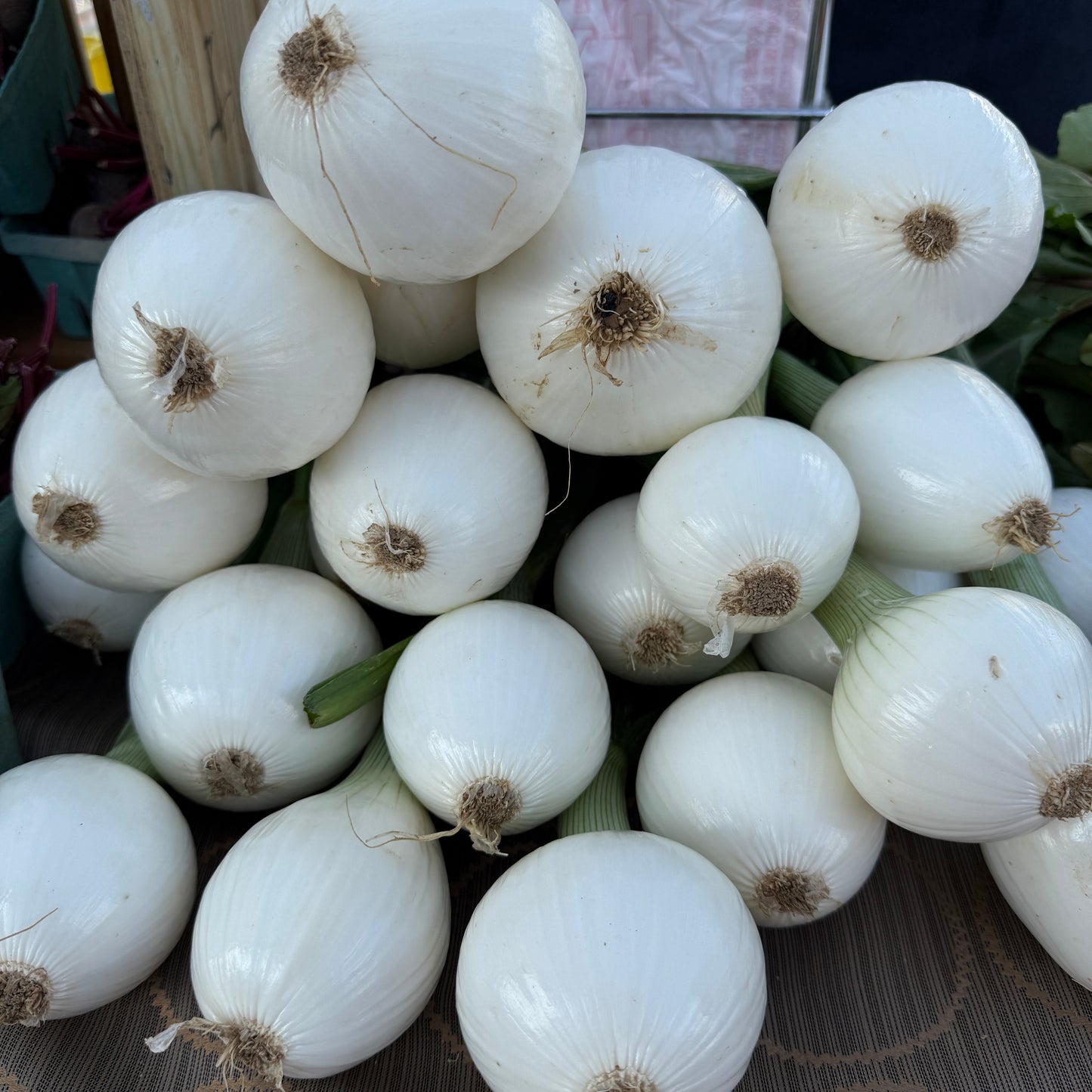 Onion, White - Yoder's