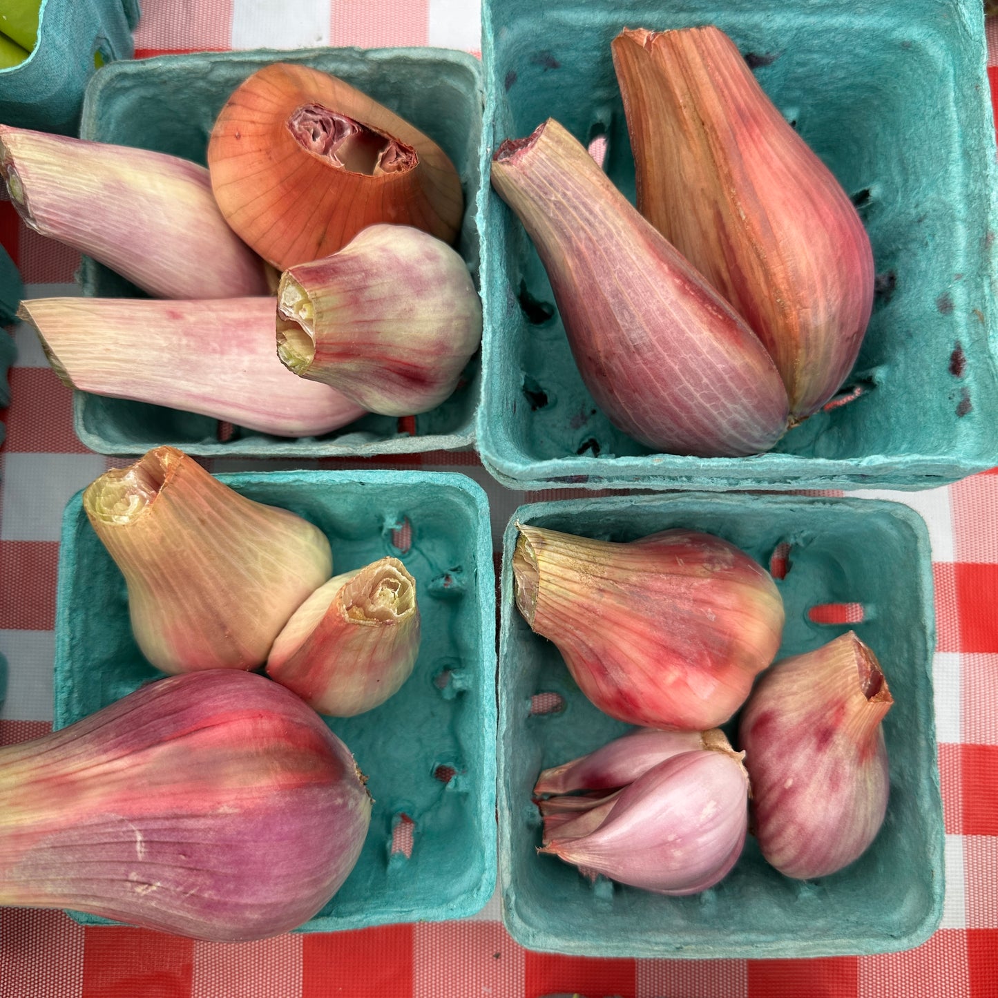 Shallots - Weaver's