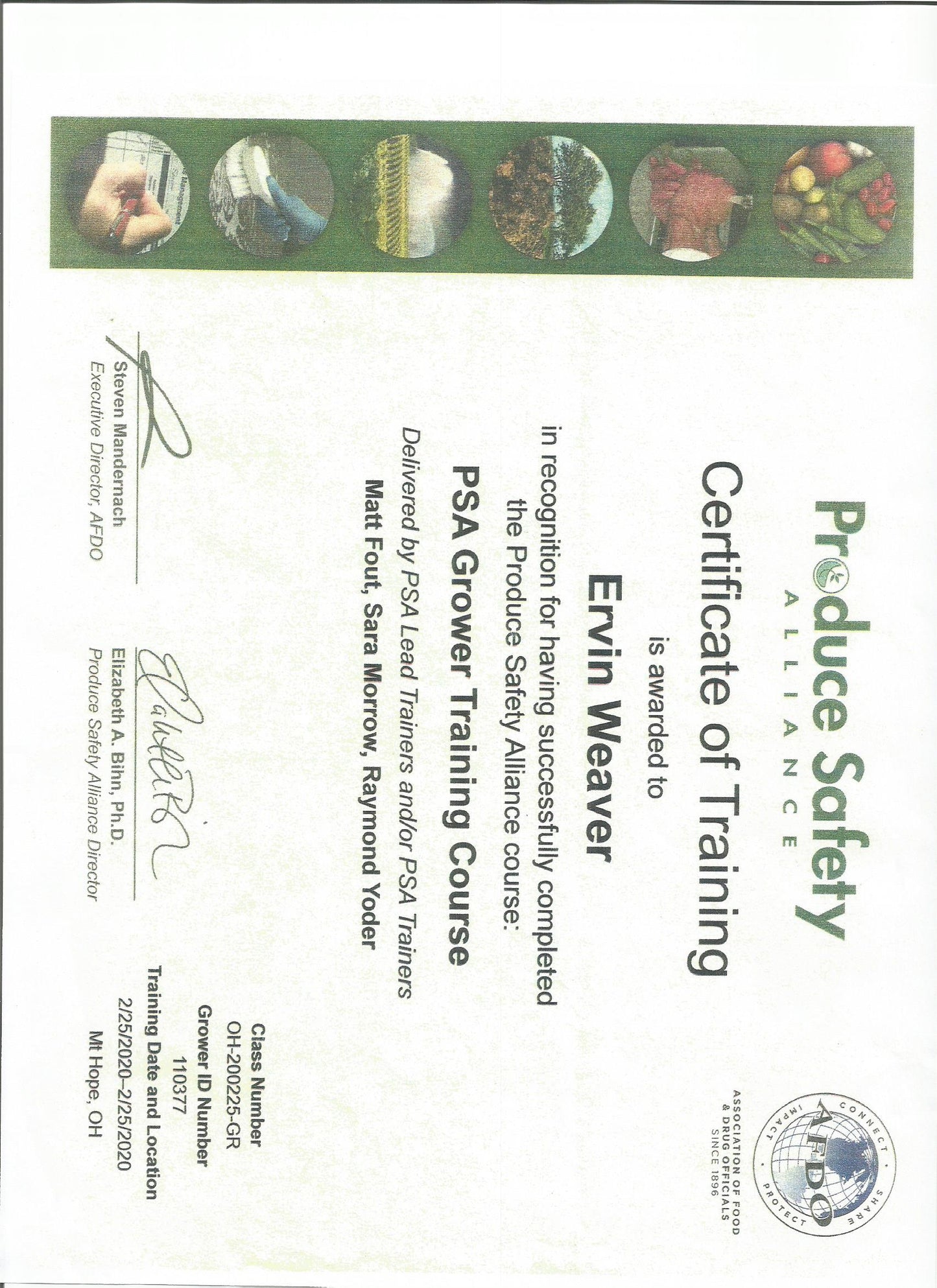 Peppers, Green Bell - Weaver's