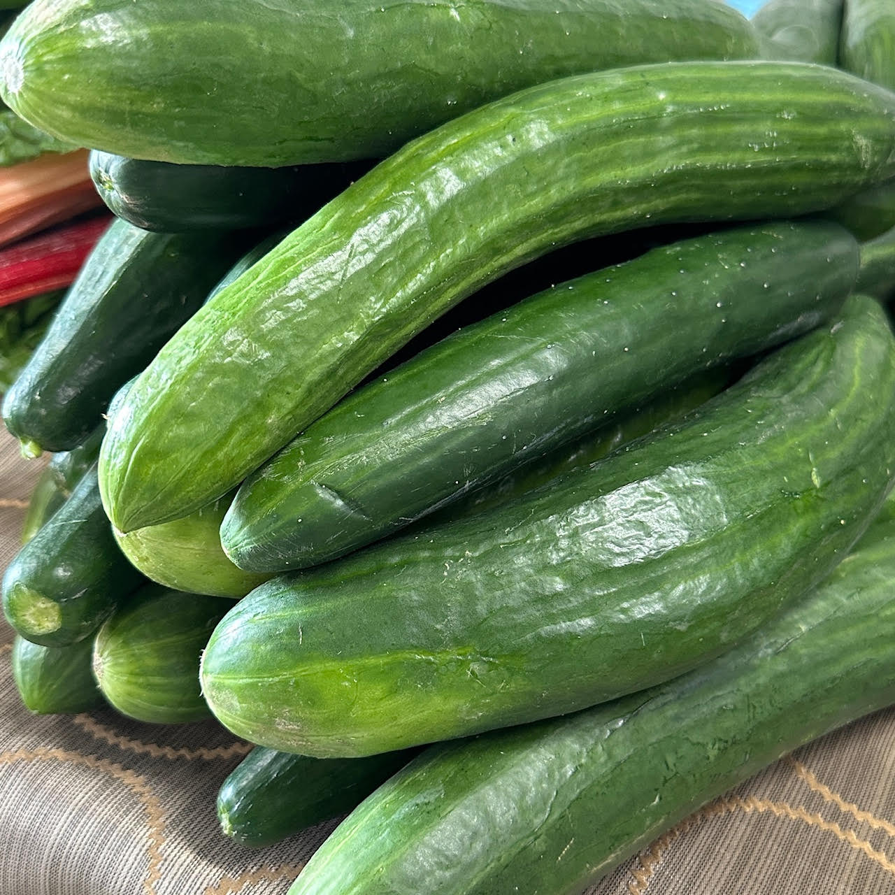 Cucumbers, English - Yoder's
