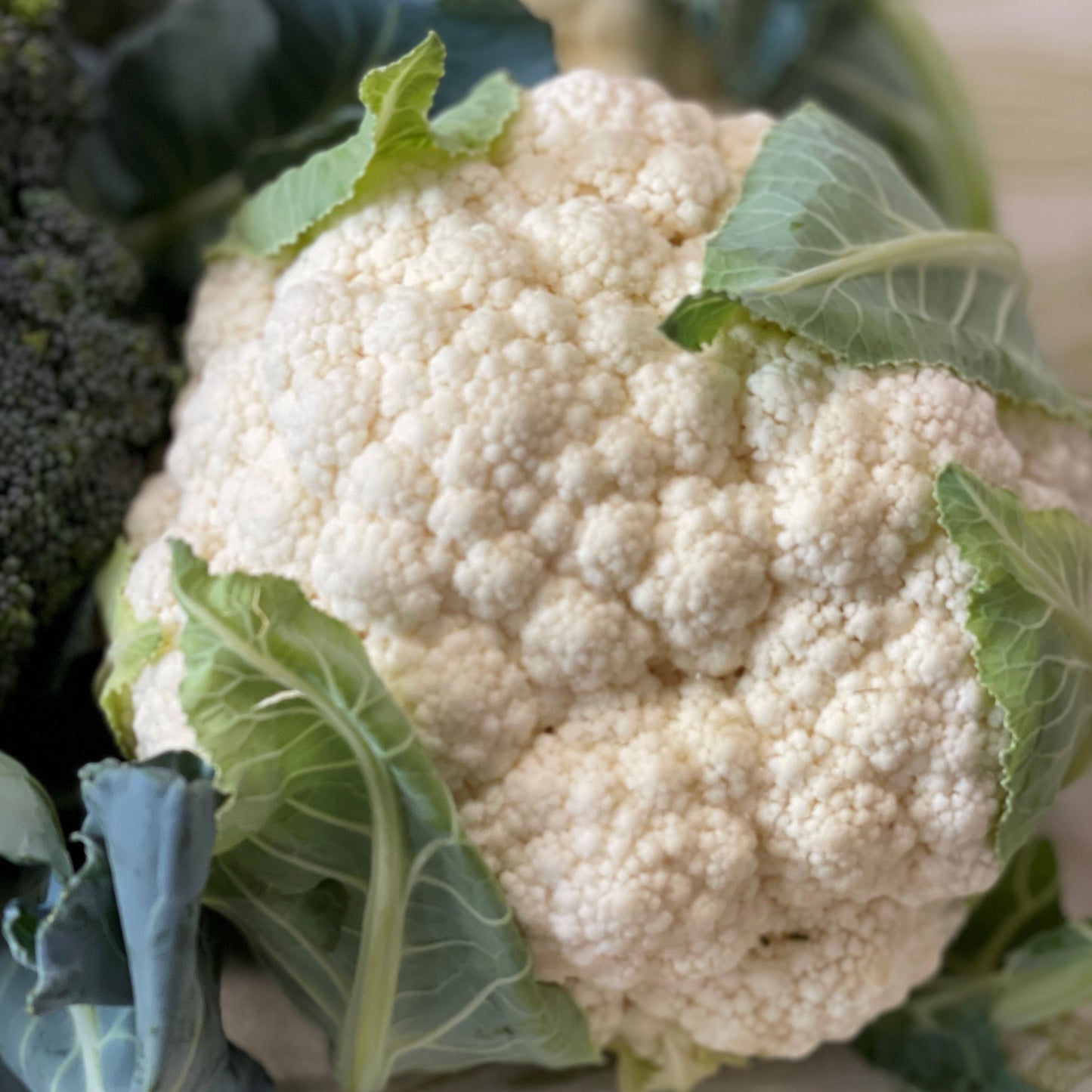 Cauliflower, White - Yoder's
