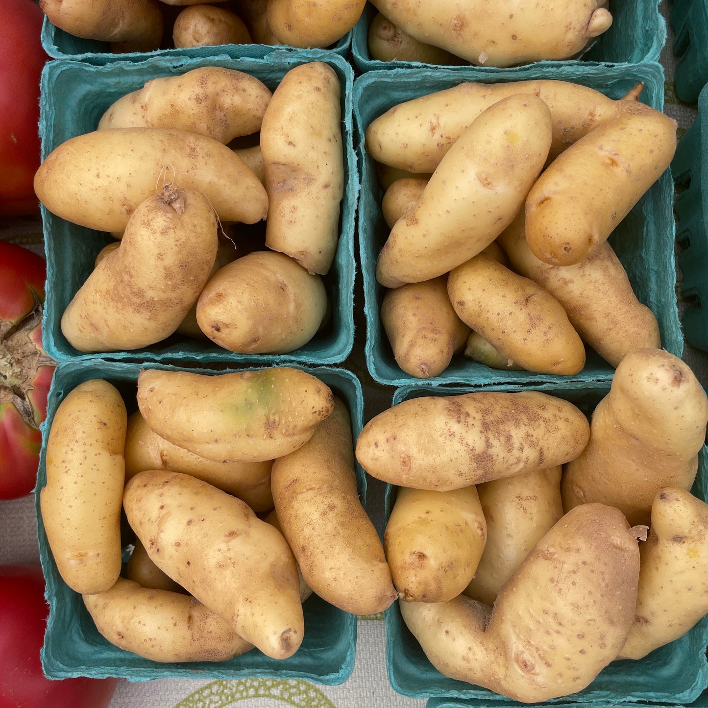 Potatoes, Fingerling- Yoder's