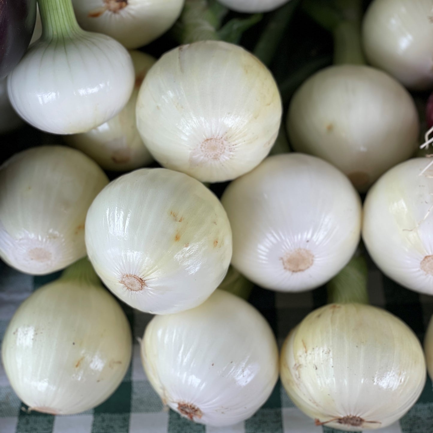 Onions, Candy - Weaver's