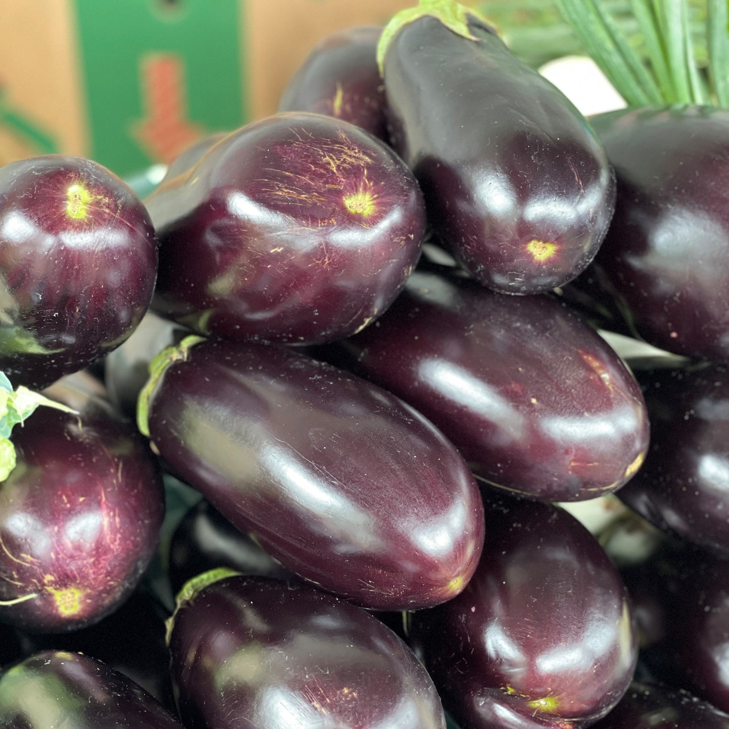 Eggplant - Weaver's