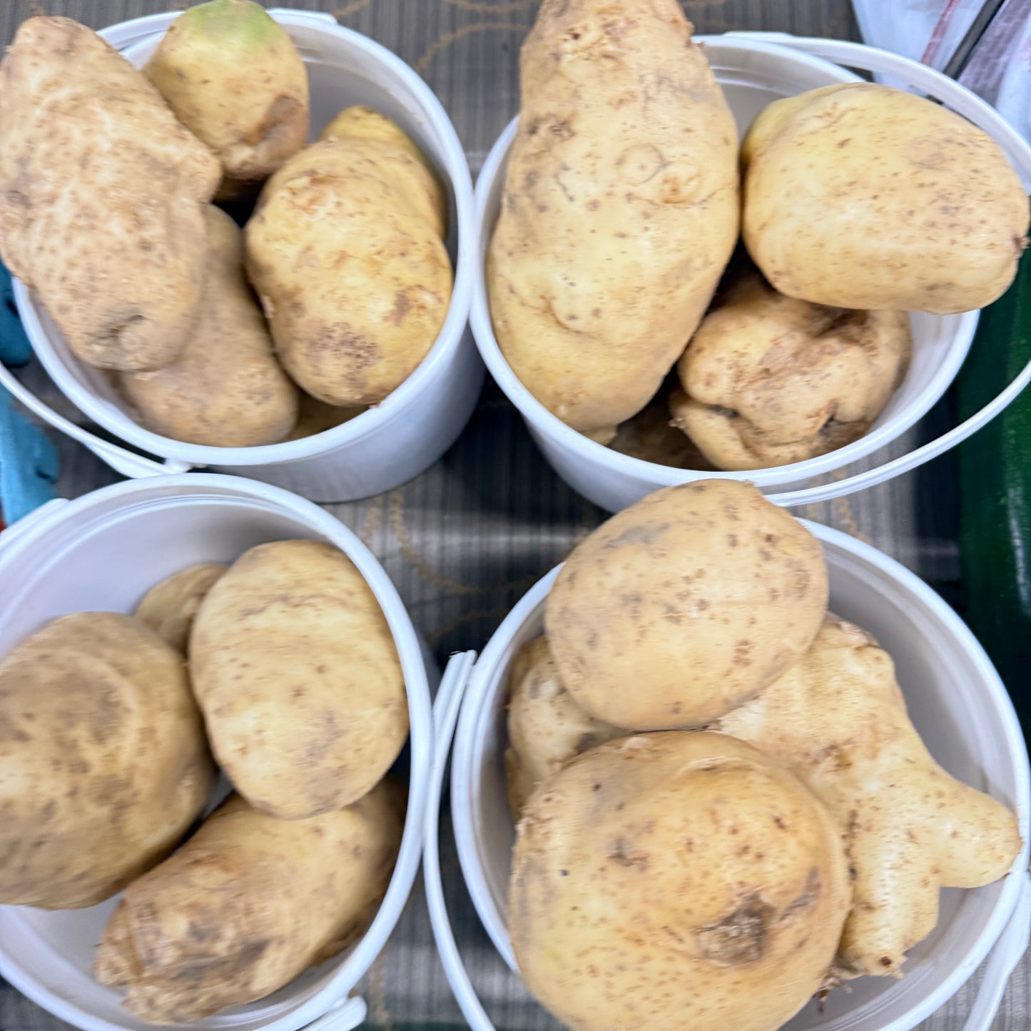 Potatoes, White- Yoder's