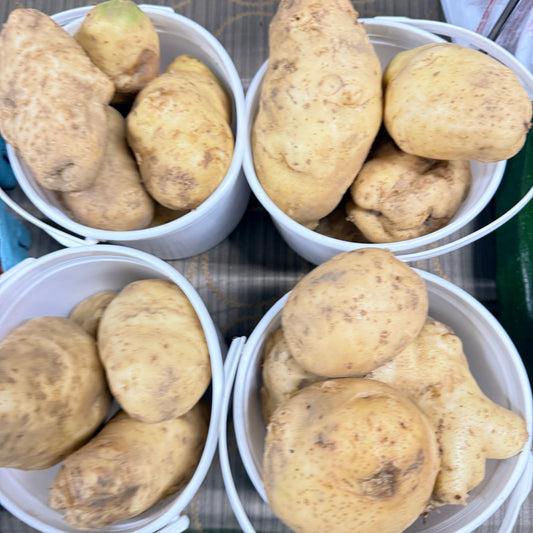 Potatoes, White- Yoder's