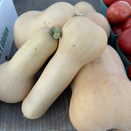Squash, Butternut - Yoder's
