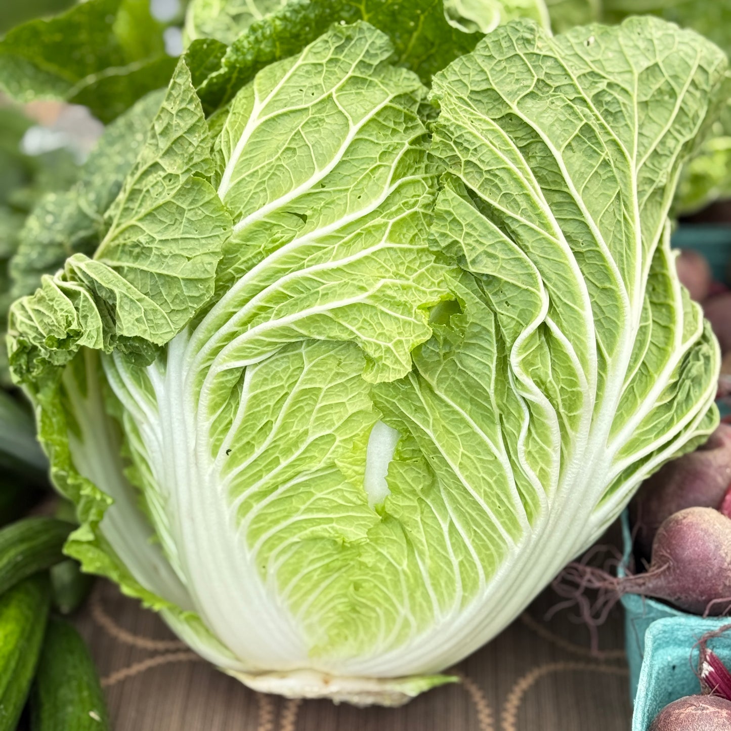 Cabbage, Napa - Yoder's