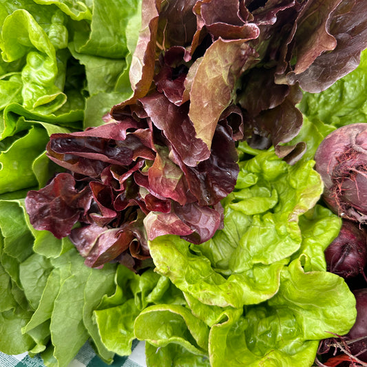 Bibb Lettuce Head- Weaver's