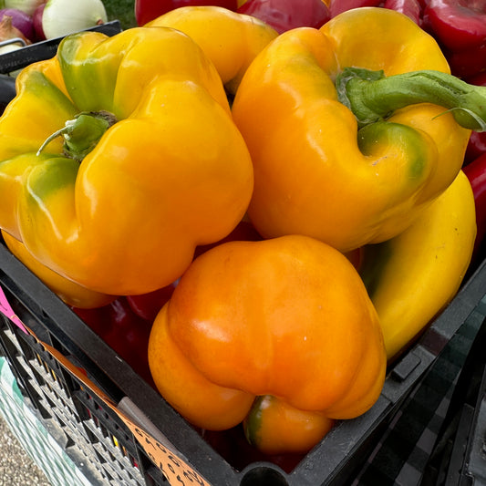 Peppers, Yellow Bell - Weaver's