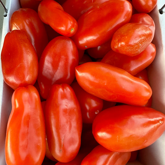 Tomatoes, San Marzano - Weaver's