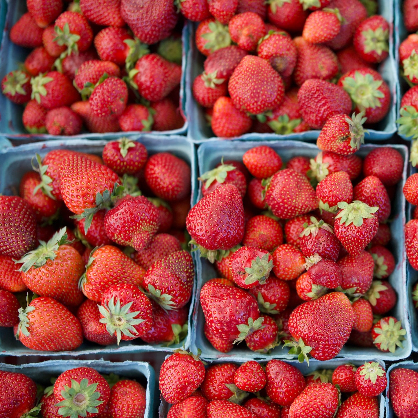 Strawberries - Yoder's