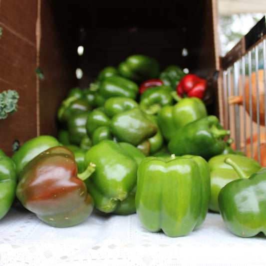 Peppers, Green Bell - Weaver's