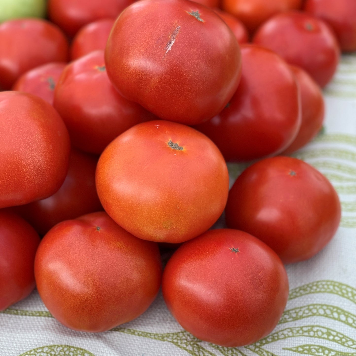 Tomatoes, Slicing - Yoder's