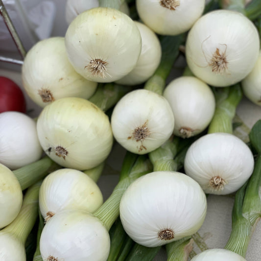 Onions, Candy - Yoder's