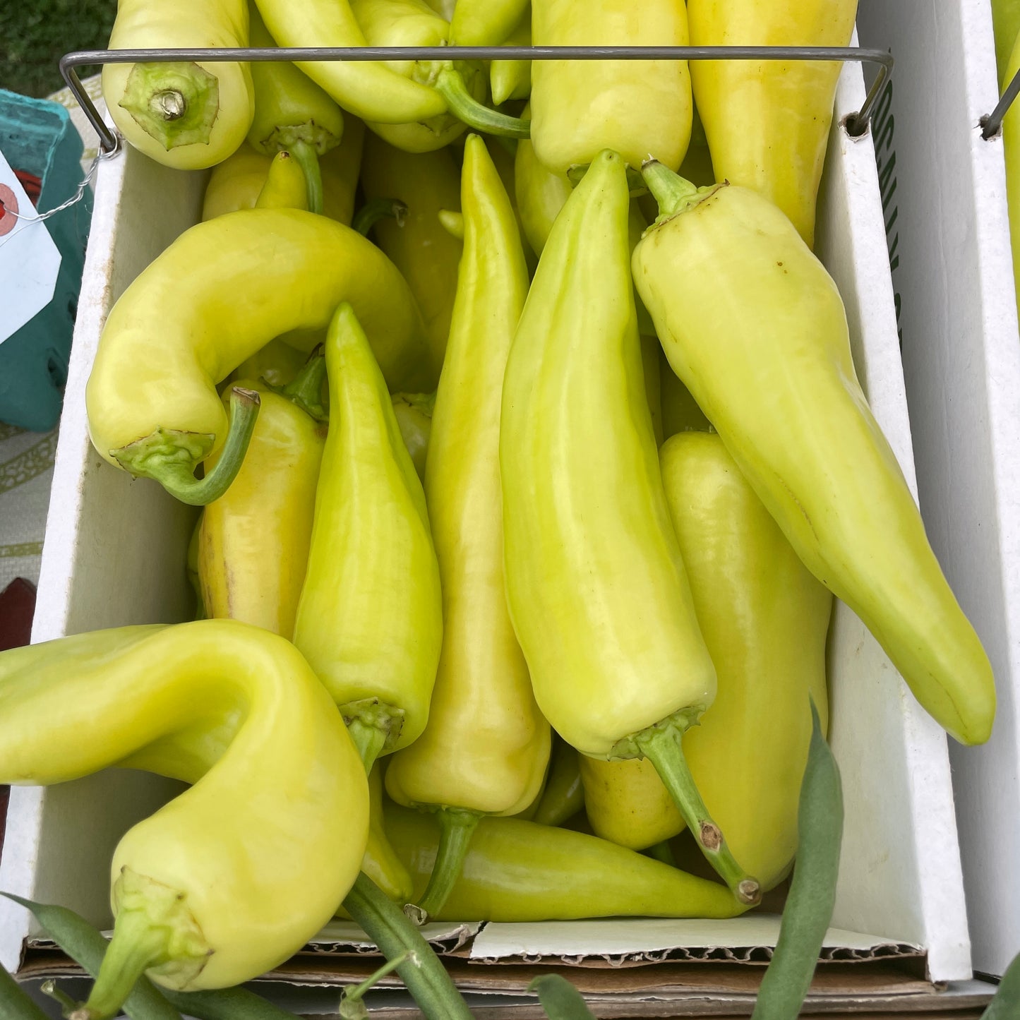 Peppers, Sweet Banana- Yoder's