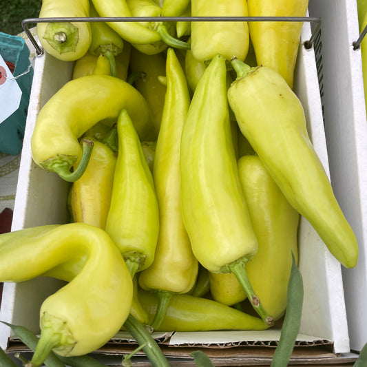 Peppers, Sweet Banana- Yoder's