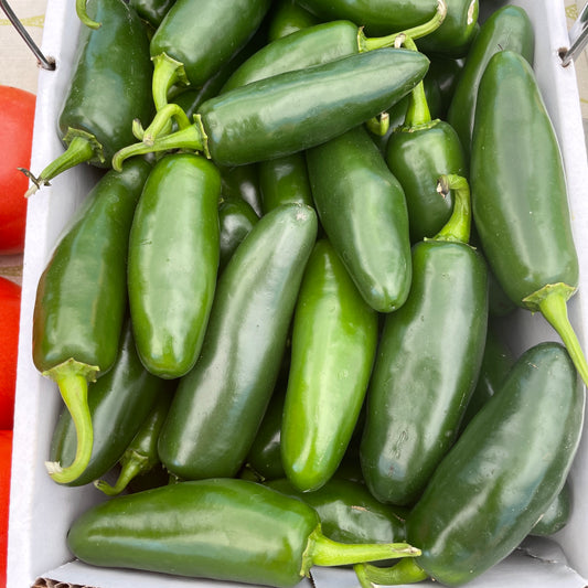 Peppers, Jalapeno - Yoder's