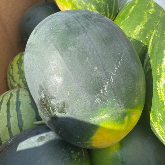 Melon, Red Seedless- Weaver's