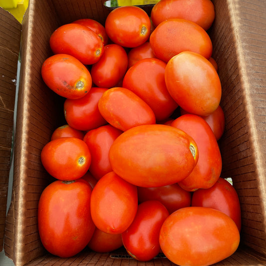 Tomatoes, Roma - Yoder's