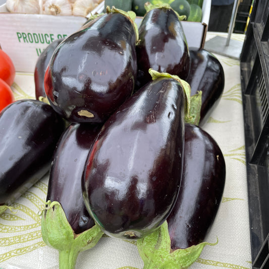 Eggplant - Yoder's