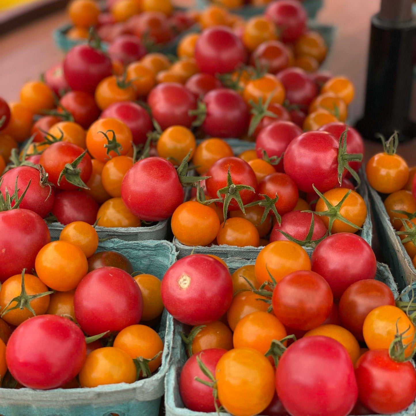 Tomatoes Mixed Cherry - Yoder's