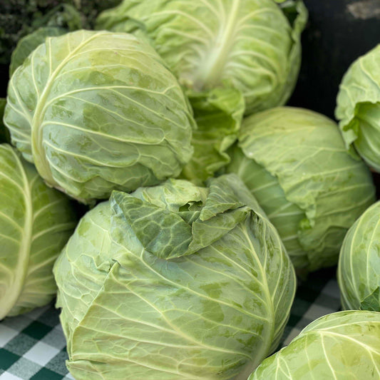 Cabbage, Green - Weaver's